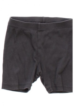 Pantaloni scurți pentru copii H&M, Mărime 9-12m/ 74-80 cm, Culoare Gri, Preț 36,84 Lei
