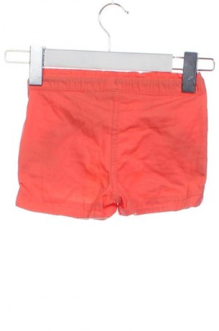 Детски къс панталон Lupilu, Размер 12-18m/ 80-86 см, Цвят Оранжев, Цена 14,00 лв.