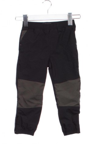 Kinderhose Next, Größe 2-3y/ 98-104 cm, Farbe Mehrfarbig, Preis € 12,83