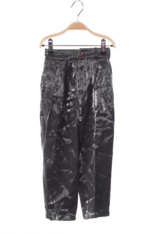 Dziecięce spodnie Unbranded, Rozmiar 3-4y/ 104-110 cm, Kolor Srebrzysty, Cena 56,03 zł