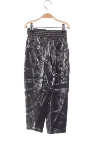 Dziecięce spodnie Unbranded, Rozmiar 3-4y/ 104-110 cm, Kolor Srebrzysty, Cena 56,03 zł