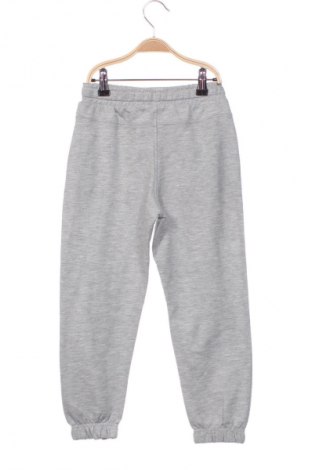 Spodnie dziecięce do sportów zimowych Sinsay, Rozmiar 5-6y/ 116-122 cm, Kolor Szary, Cena 133,00 zł