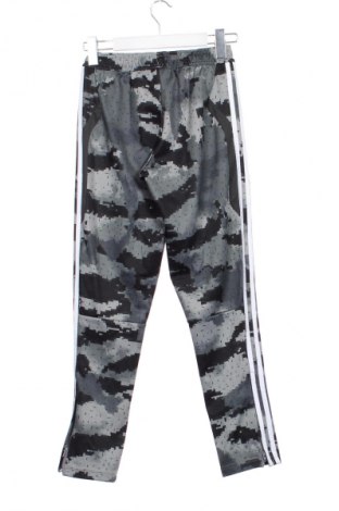 Dětské tepláky Adidas, Velikost 10-11y/ 146-152 cm, Barva Vícebarevné, Cena  430,00 Kč