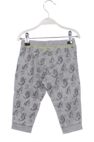 Detské tepláky Coccodrillo, Veľkosť 6-9m/ 68-74 cm, Farba Viacfarebná, Cena  12,79 €