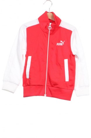 Gyerek sport felső PUMA, Méret 2-3y / 98-104 cm, Szín Sokszínű, Ár 12 299 Ft