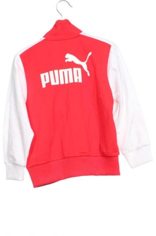 Gyerek sport felső PUMA, Méret 2-3y / 98-104 cm, Szín Sokszínű, Ár 12 299 Ft