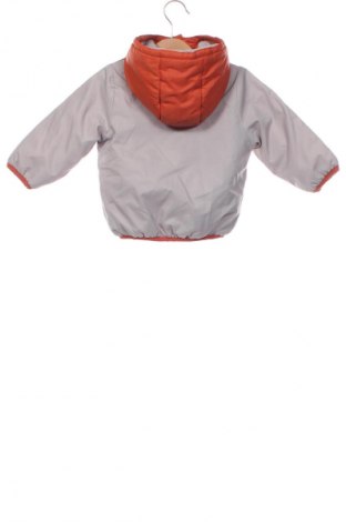 Dziecięca kurtka In Extenso, Rozmiar 6-9m/ 68-74 cm, Kolor Szary, Cena 99,00 zł