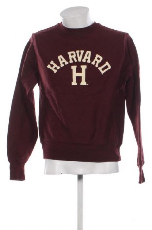 Ανδρική μπλούζα Champion, Μέγεθος L, Χρώμα Βιολετί, Τιμή 13,99 €