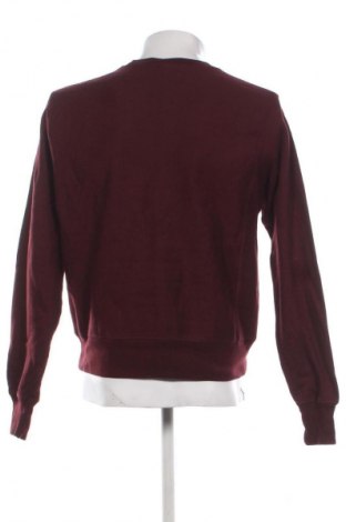 Ανδρική μπλούζα Champion, Μέγεθος L, Χρώμα Βιολετί, Τιμή 13,99 €