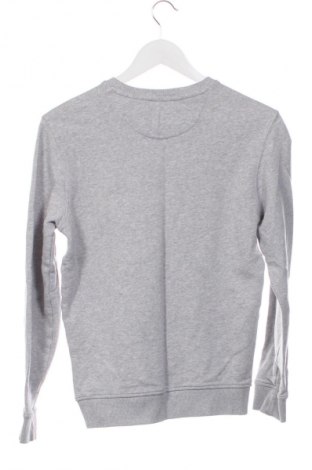 Herren Shirt Lyle & Scott, Größe XS, Farbe Grau, Preis 22,51 €