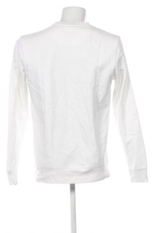 Męska bluzka Petrol Industries, Rozmiar L, Kolor Kolorowy, Cena 167,82 zł