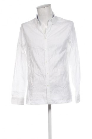 Herrenhemd Lacoste, Größe L, Farbe Ecru, Preis € 34,78