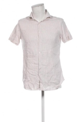 Herrenhemd Paul Hunter, Größe S, Farbe Mehrfarbig, Preis 71,99 €