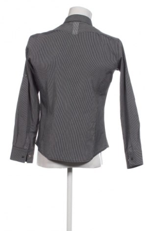 Herrenhemd Sports, Größe XL, Farbe Mehrfarbig, Preis € 14,77