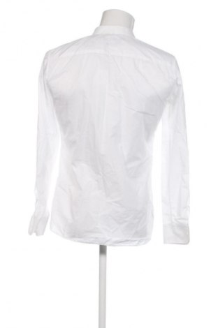 Herrenhemd Z Zegna, Größe L, Farbe Weiß, Preis 52,99 €