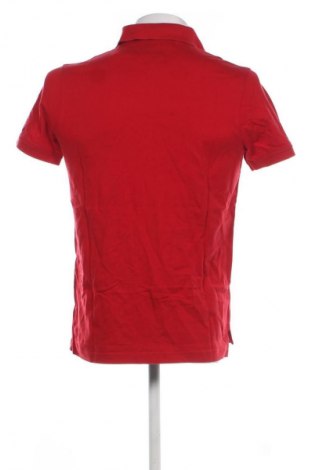 Ανδρικό t-shirt Tom Tailor, Μέγεθος M, Χρώμα Κόκκινο, Τιμή 12,99 €