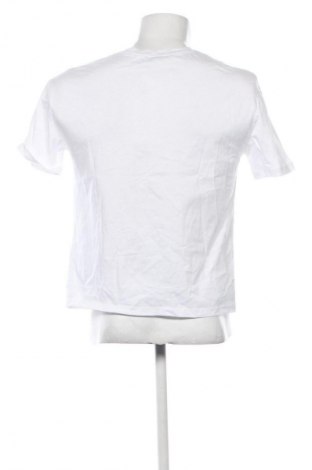 Damen T-Shirt Zara, Größe S, Farbe Weiß, Preis € 14,00
