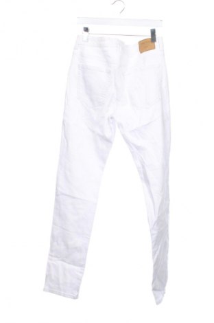 Herren Jeans C&A, Größe L, Farbe Weiß, Preis 14,99 €