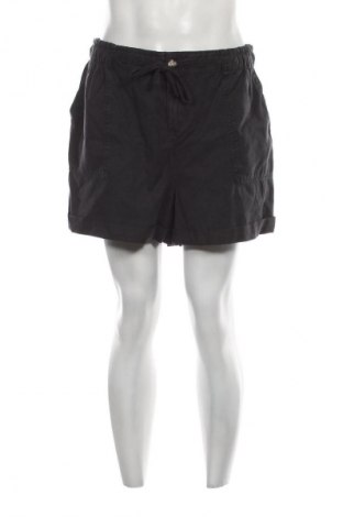 Ανδρικό κοντό παντελόνι Denim Co., Μέγεθος L, Χρώμα Γκρί, Τιμή 10,43 €