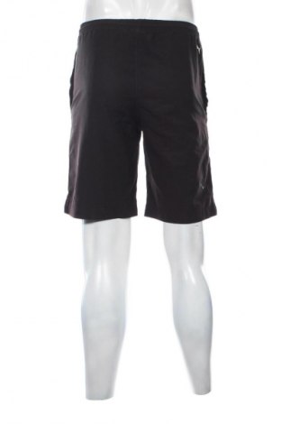 Herren Shorts PUMA, Größe S, Farbe Schwarz, Preis € 17,39