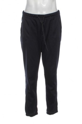 Мъжки панталон Laura Torelli, Размер L, Цвят Син, Цена 20,99 лв.