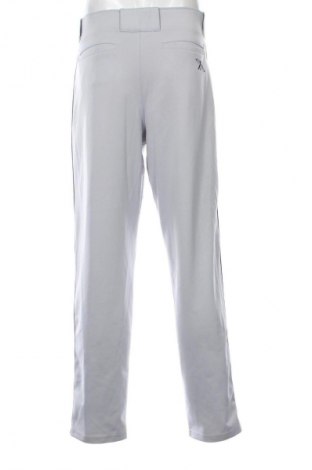 Herrenhose Nike, Größe L, Farbe Grau, Preis € 28,13