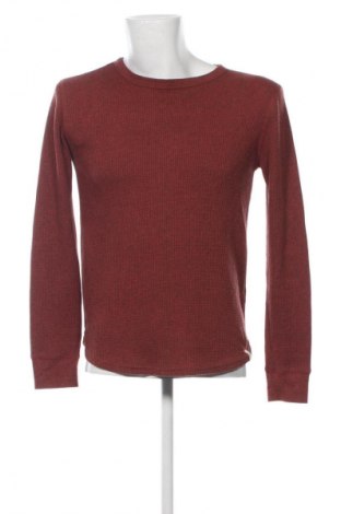 Herrenpullover Primark, Größe L, Farbe Braun, Preis € 17,80