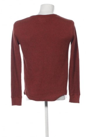 Herrenpullover Primark, Größe L, Farbe Braun, Preis € 17,80