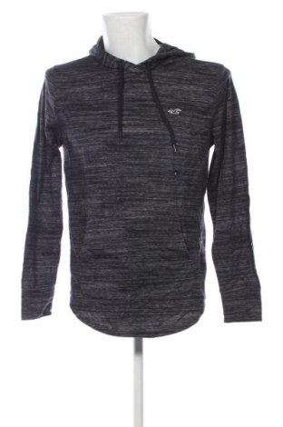 Herren Sweatshirt Hollister, Größe M, Farbe Mehrfarbig, Preis 47,57 €
