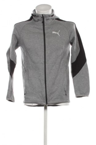 Herren Sweatshirt PUMA, Größe M, Farbe Grau, Preis € 32,99
