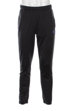 Herren Sporthose Adidas, Größe M, Farbe Schwarz, Preis 24,55 €