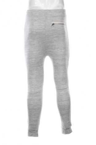 Ανδρικό αθλητικό παντελόνι CedarWood State, Μέγεθος S, Χρώμα Γκρί, Τιμή 14,83 €