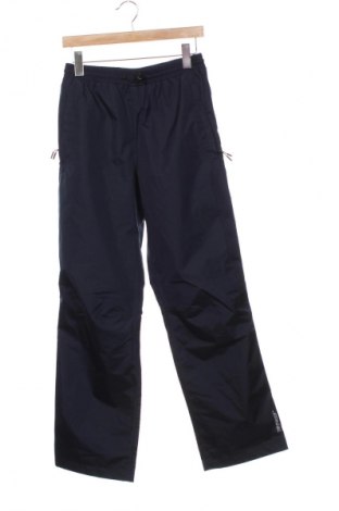 Ανδρικό αθλητικό παντελόνι Essentials by Tchibo, Μέγεθος XS, Χρώμα Μπλέ, Τιμή 20,99 €