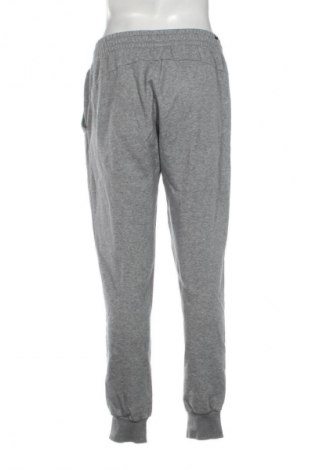 Herren Sporthose PUMA, Größe L, Farbe Grau, Preis 44,99 €