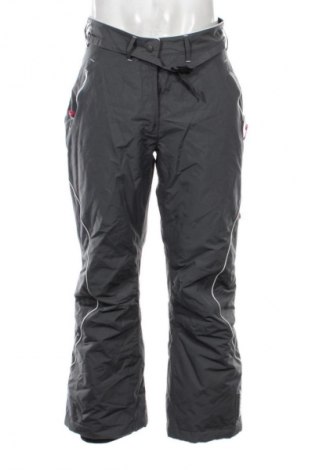 Ανδρικό αθλητικό παντελόνι TCM, Μέγεθος L, Χρώμα Γκρί, Τιμή 21,99 €