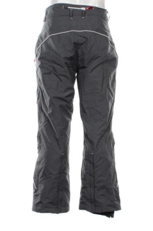 Ανδρικό αθλητικό παντελόνι TCM, Μέγεθος L, Χρώμα Γκρί, Τιμή 21,99 €