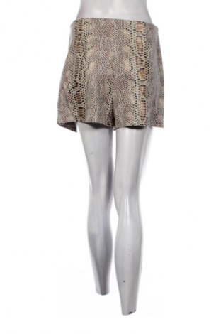 Hosenrock Zara, Größe M, Farbe Mehrfarbig, Preis 9,99 €