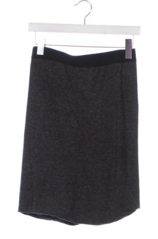 Φούστα T By Alexander Wang, Μέγεθος XS, Χρώμα Γκρί, Τιμή 59,41 €