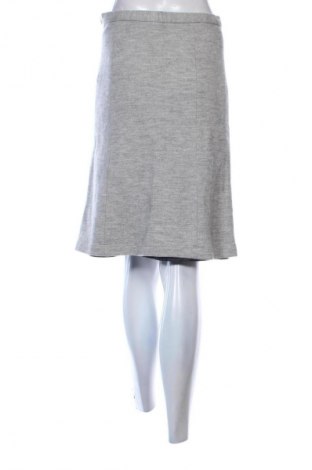Fustă Gant, Mărime S, Culoare Gri, Preț 215,79 Lei