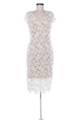 Kleid Atmos & Here, Größe L, Farbe Mehrfarbig, Preis € 25,00