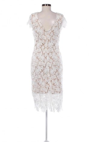 Kleid Atmos & Here, Größe L, Farbe Mehrfarbig, Preis € 25,00