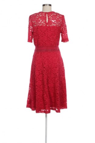 Kleid Body Flirt, Größe L, Farbe Rot, Preis € 16,99