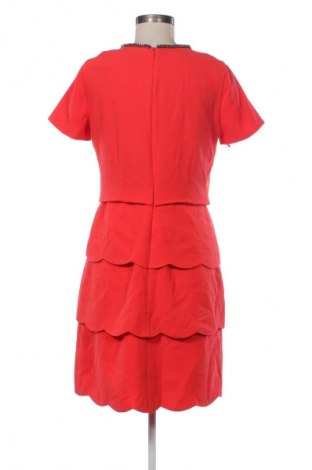 Kleid Coast, Größe M, Farbe Orange, Preis € 42,05