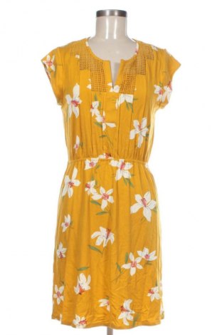 Kleid Daniel Rainn, Größe M, Farbe Mehrfarbig, Preis € 72,99