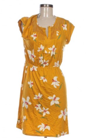 Kleid Daniel Rainn, Größe M, Farbe Mehrfarbig, Preis 71,99 €