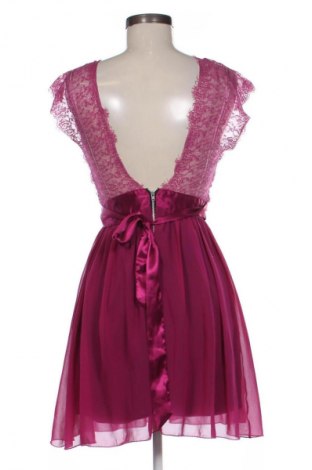 Šaty  Elise Ryan, Velikost M, Barva Růžová, Cena  495,00 Kč