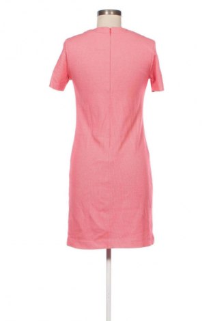 Kleid Gant, Größe XS, Farbe Rosa, Preis € 66,51