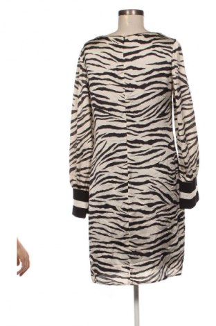 Kleid Kocca, Größe M, Farbe Mehrfarbig, Preis 27,99 €