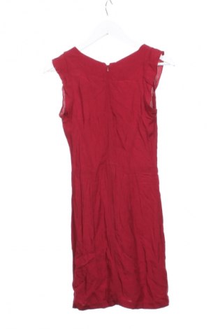 Kleid Mango, Größe XS, Farbe Rot, Preis 15,99 €
