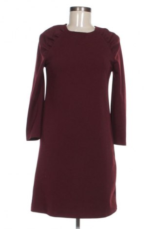 Kleid Mango, Größe S, Farbe Rot, Preis € 33,99